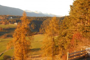 Herbst am Heideggerhof