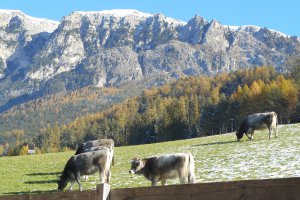 Spätherbstliche Landschaft mit erstem Schnee