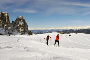 Heideggerhof in Völs am Schlern 35