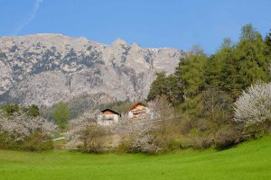 Frühling am Heideggerhof mit Schlernblick